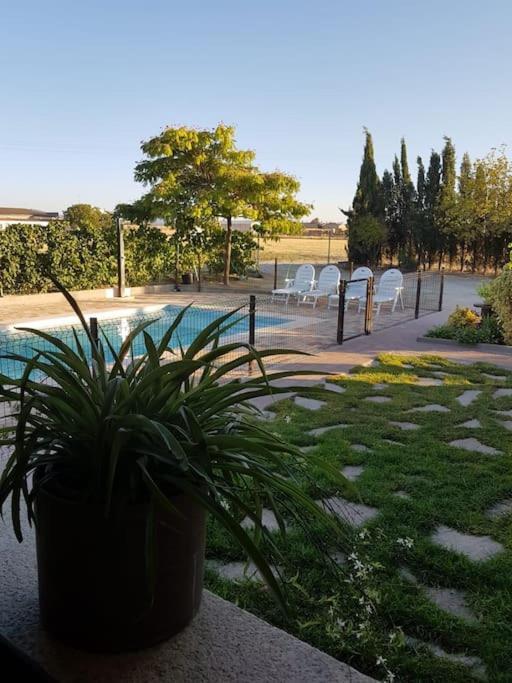 Casa Rural Alma Totanés Dış mekan fotoğraf