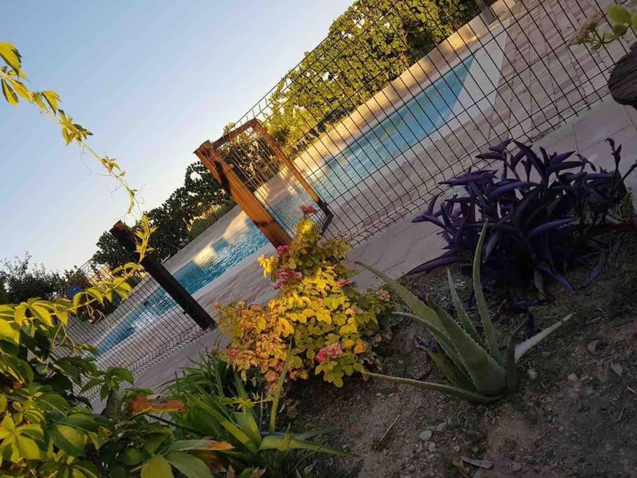 Casa Rural Alma Totanés Dış mekan fotoğraf