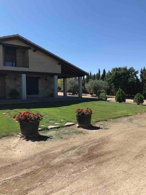 Casa Rural Alma Totanés Dış mekan fotoğraf